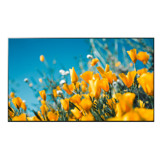 LG 올레드 evo C4 163cm(OLED65C4SNA)