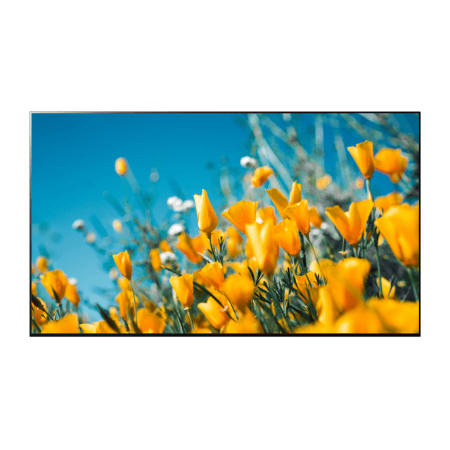 LG 올레드 evo C4 194cm(OLED77C4QNA)